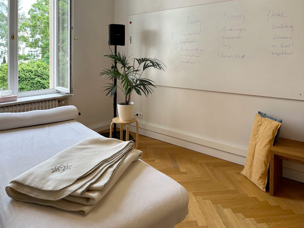 Kennenlern-Workshop CranioSacrale Biodynamik in Bonn